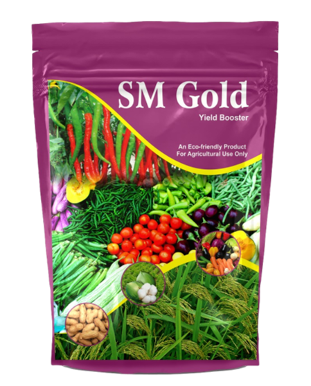 SM Gold